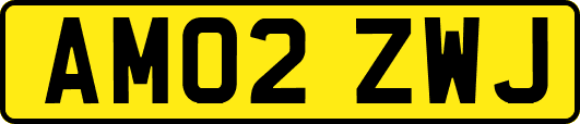 AM02ZWJ