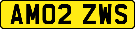 AM02ZWS