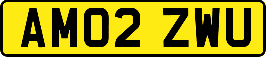 AM02ZWU