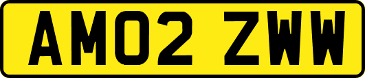AM02ZWW