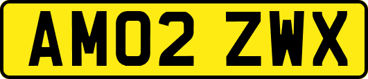 AM02ZWX