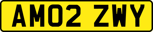 AM02ZWY