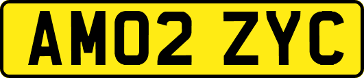 AM02ZYC