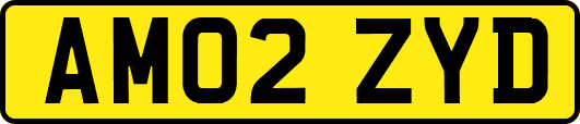 AM02ZYD