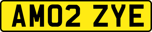 AM02ZYE