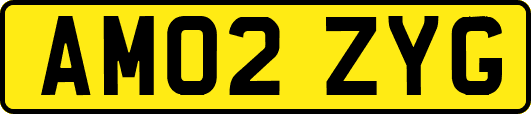AM02ZYG