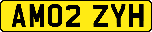 AM02ZYH