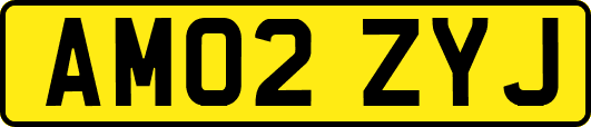 AM02ZYJ