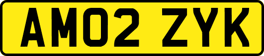 AM02ZYK