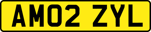 AM02ZYL