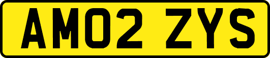 AM02ZYS