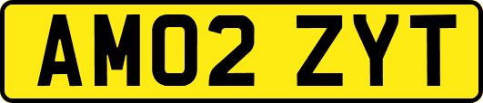 AM02ZYT
