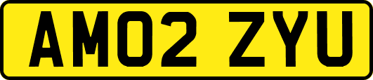 AM02ZYU