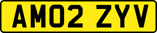 AM02ZYV