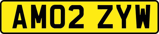 AM02ZYW