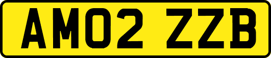 AM02ZZB