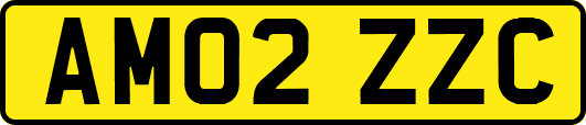 AM02ZZC