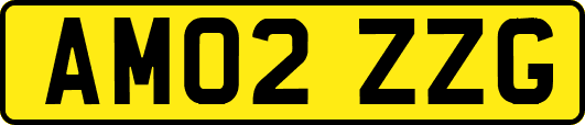 AM02ZZG