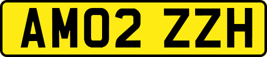 AM02ZZH