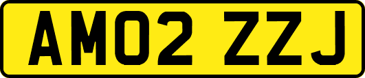AM02ZZJ