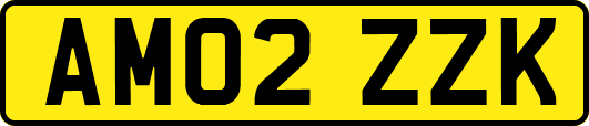 AM02ZZK
