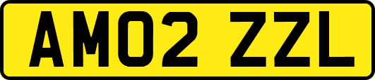 AM02ZZL