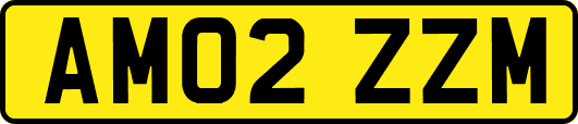 AM02ZZM
