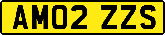 AM02ZZS