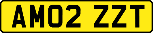 AM02ZZT