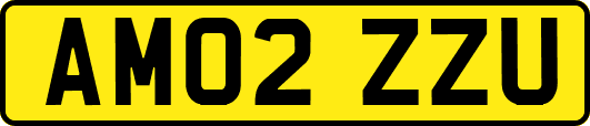 AM02ZZU