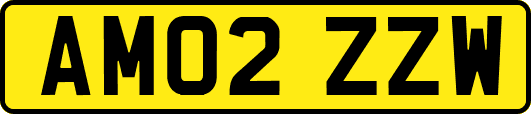 AM02ZZW