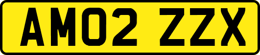 AM02ZZX