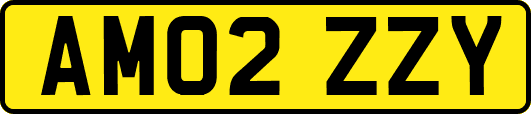 AM02ZZY