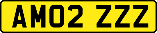 AM02ZZZ