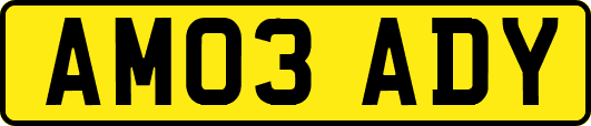 AM03ADY