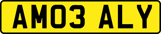 AM03ALY