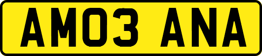 AM03ANA