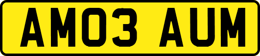 AM03AUM