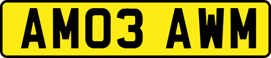 AM03AWM