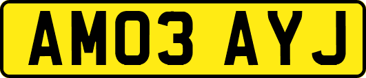 AM03AYJ