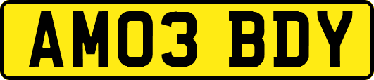 AM03BDY