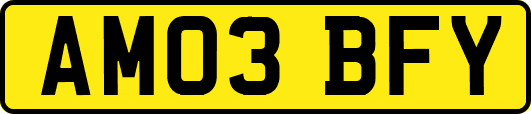 AM03BFY