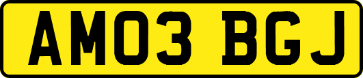 AM03BGJ
