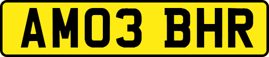 AM03BHR