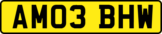 AM03BHW