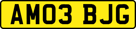 AM03BJG