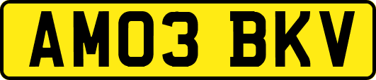 AM03BKV