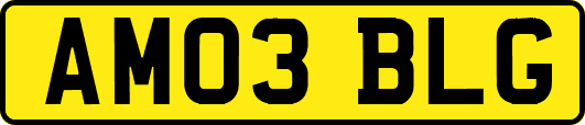 AM03BLG