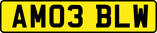 AM03BLW