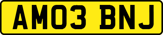 AM03BNJ